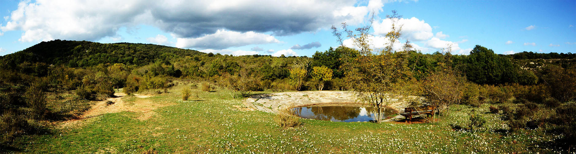 pano pic et fleur iris